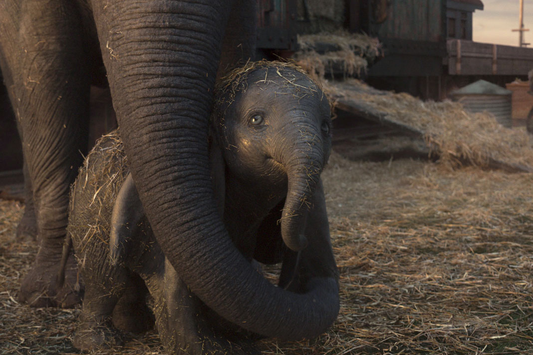 Dumbo Review: The Elephant is Reimagined for all Generations