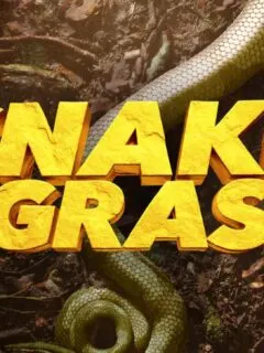 Snake in the Grass Competition Series Coming to USA Network