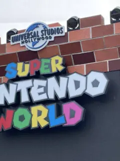 Super Nintendo World Preview: A Visit to the New Land