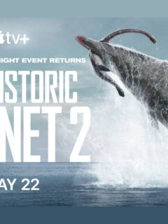 Prehistoric Planet 2 Trailer From Apple TV+