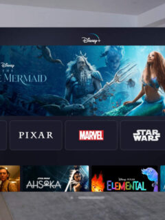 Disney+ on Apple Vision Pro Announced