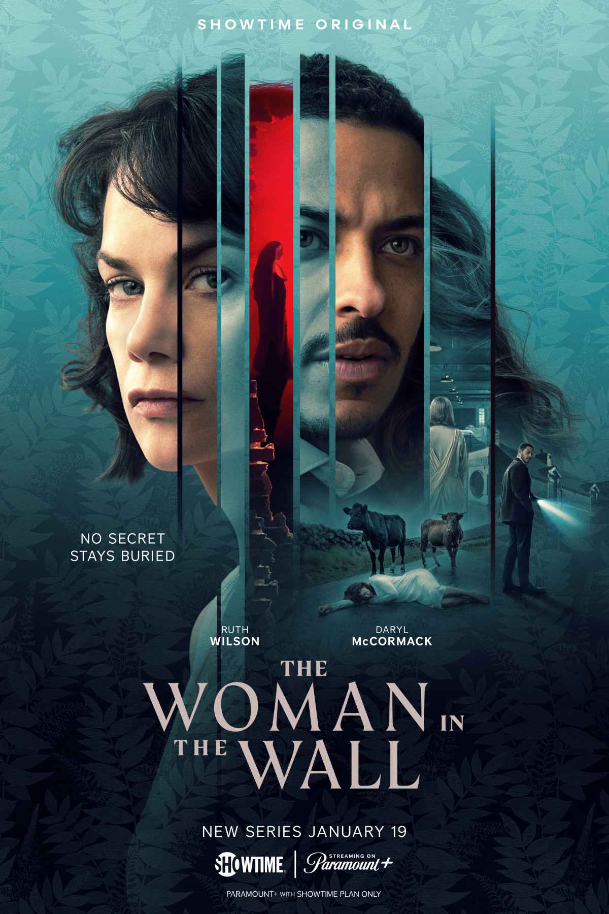 The Woman in the Wall Key Art