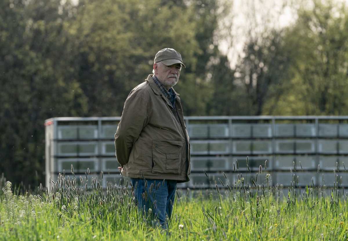 Brian Cox as Jaan  in Little Wing, streaming on Paramount+, 2024. Photo Credit: Alysson Riggs/Paramount+.