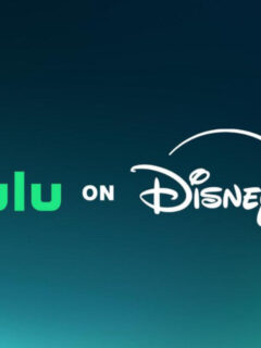 Hulu on Disney+ Launches in the U.S.
