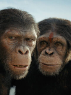 Kingdom of the Planet of the Apes IMAX Trailer Debuts