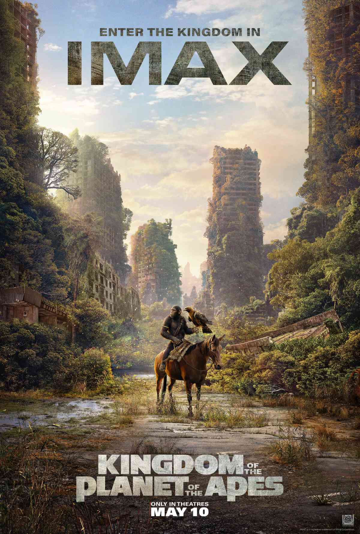 Kingdom of the Planet of the Apes IMAX Poster