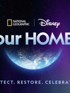 Earth Day Content Coming to Disney+, Hulu, Nat Geo, and More