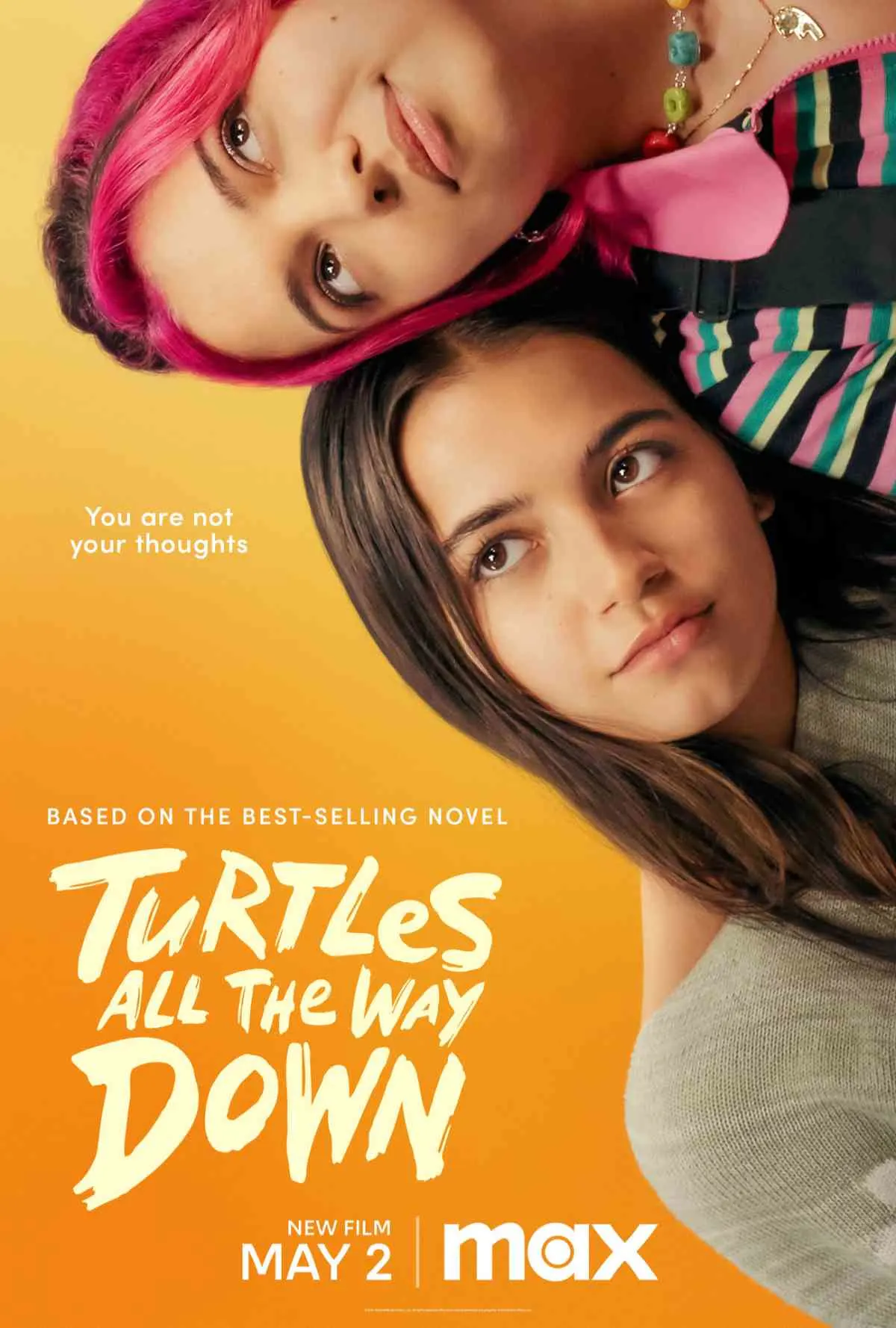 Turtles All the Way Down Poster