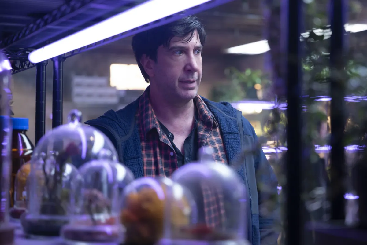 Disney Plus film and TV titles announced for January 2025 Dellupodisabato