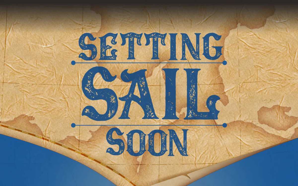 LEGO One Piece Sets in Development