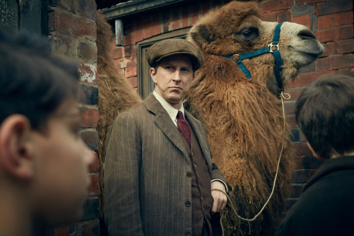 BritBox July 2025 - Our Zoo