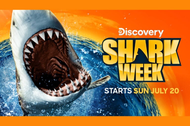 Shark Week Returns July 20 with Jaw-Dropping Lineup