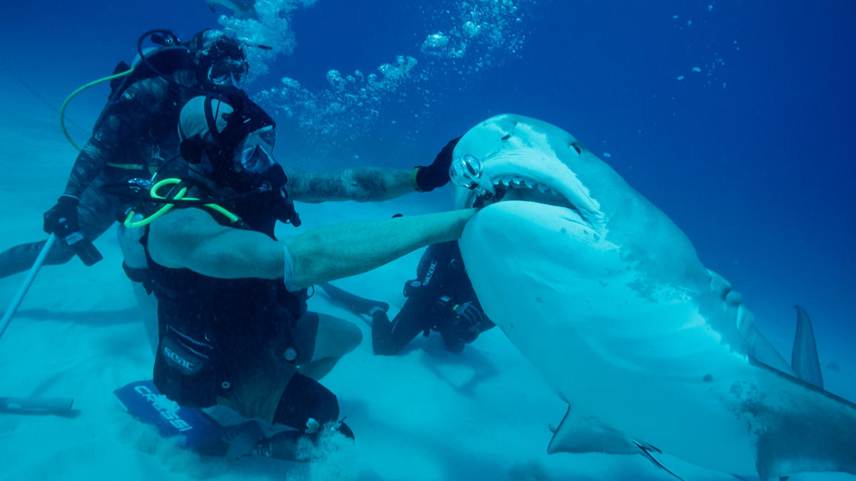 Photography by Tito Herrera, courtesy of Discovery Channel
