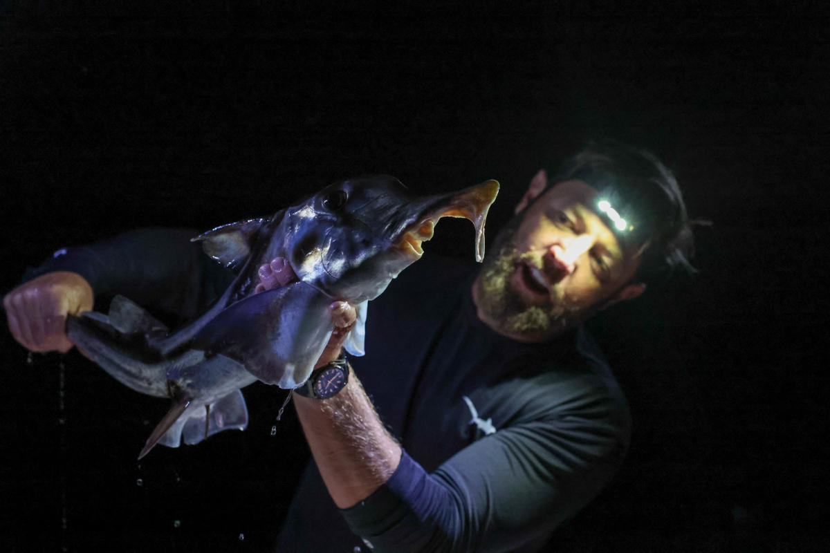 Photography by Tito Herrera, courtesy of Discovery Channel