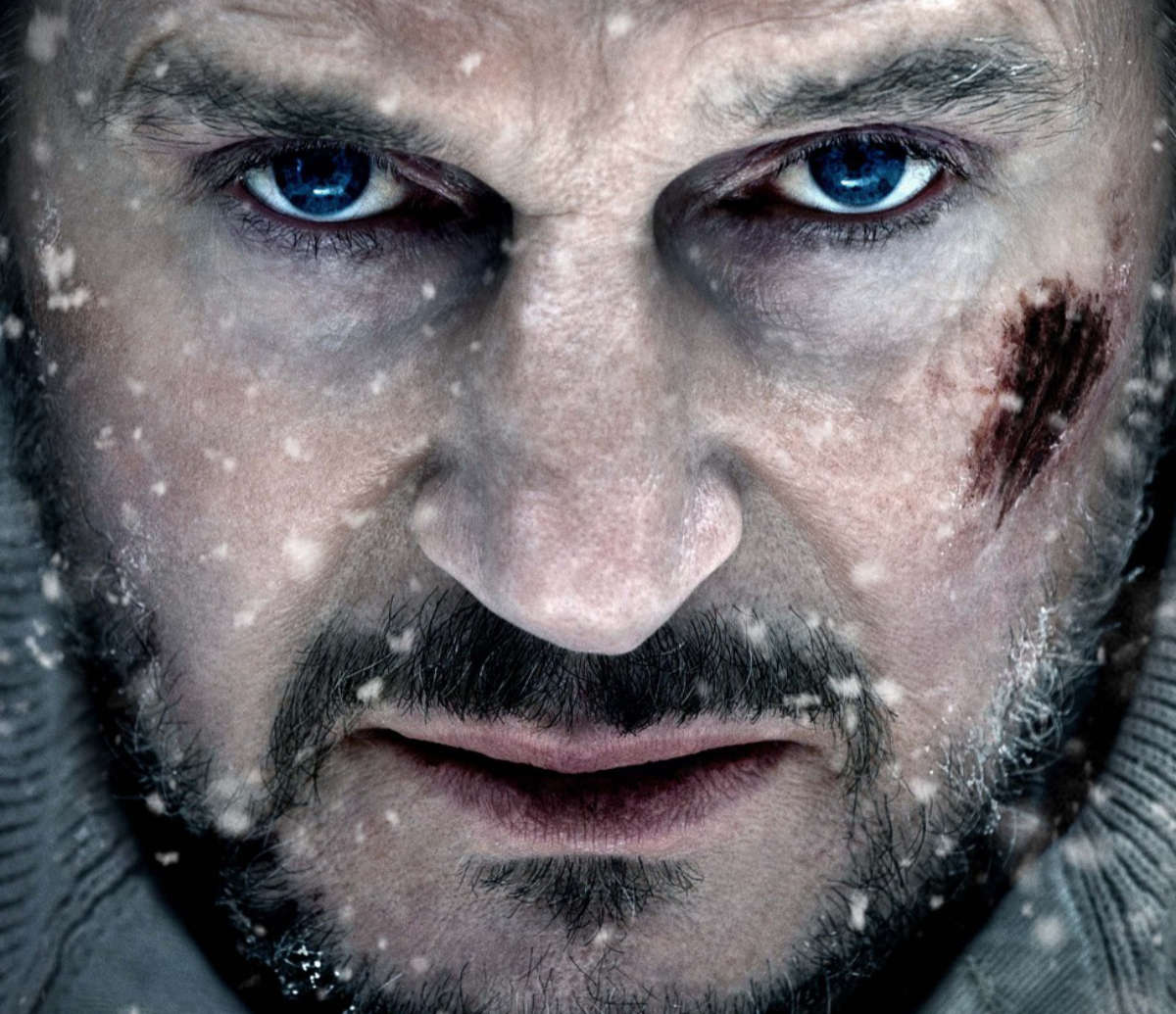 The Grey