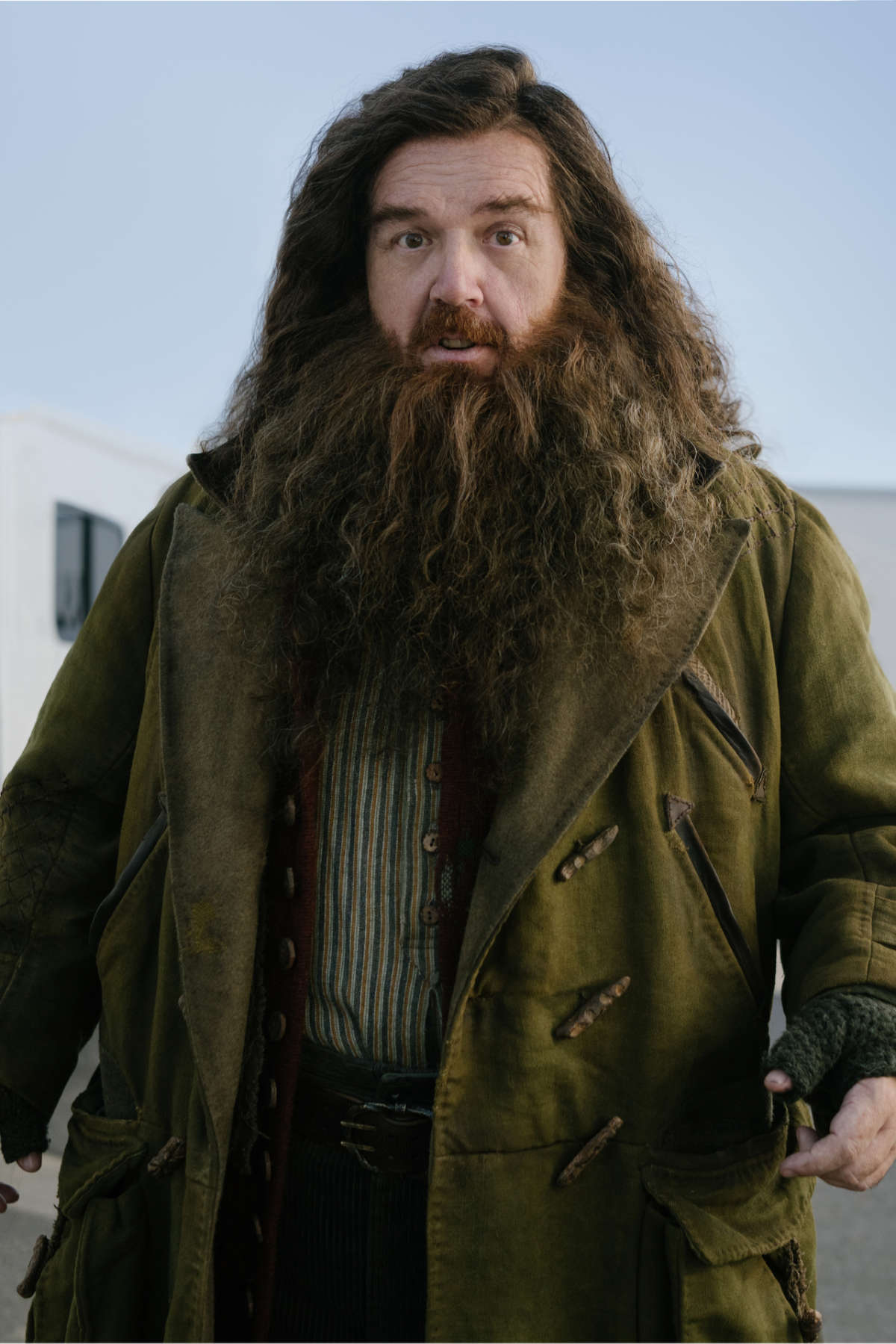 Nick Frost as Rubeus Hagrid