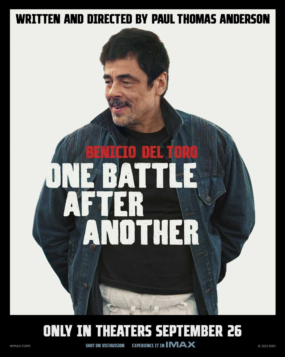 Benicio del Toro as Sensei Sergio