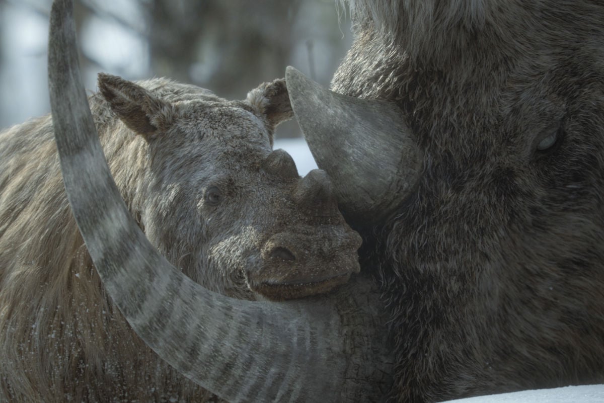 Prehistoric Planet: Ice Age Roars to Life Nov. 26 on Apple TV+