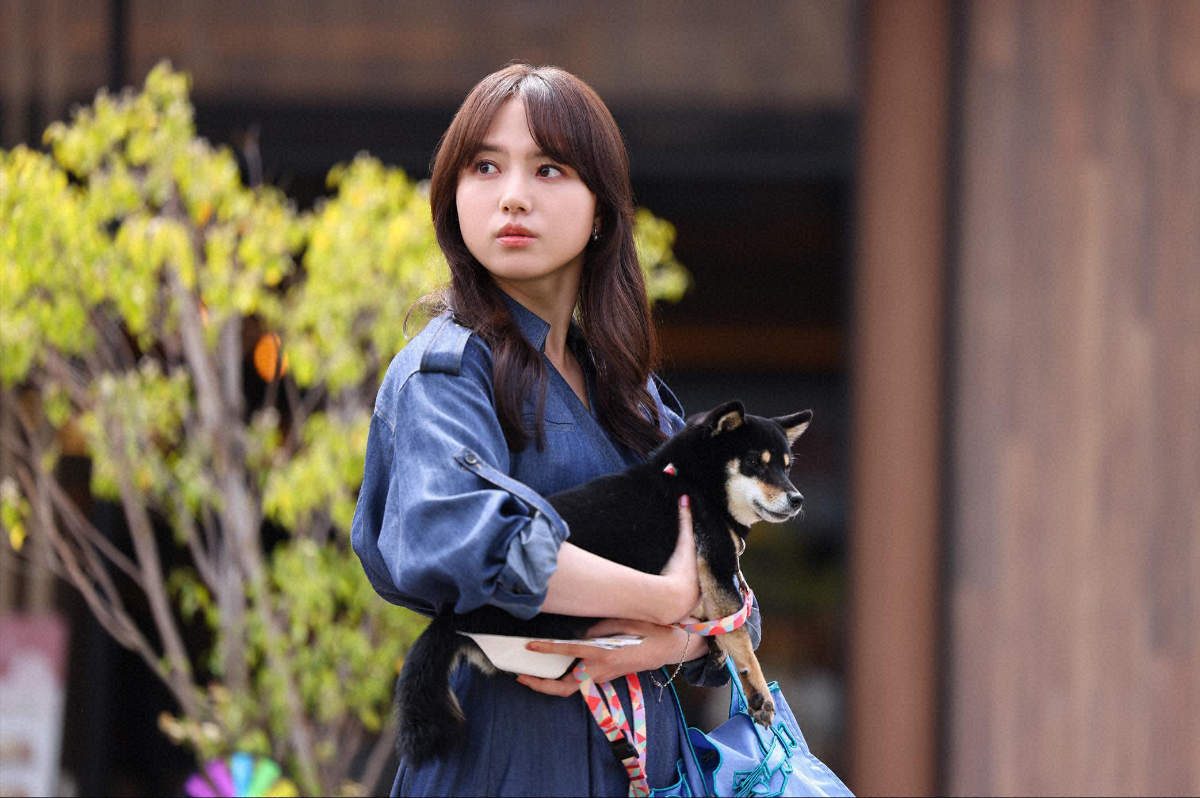 Love Is for the Dogs