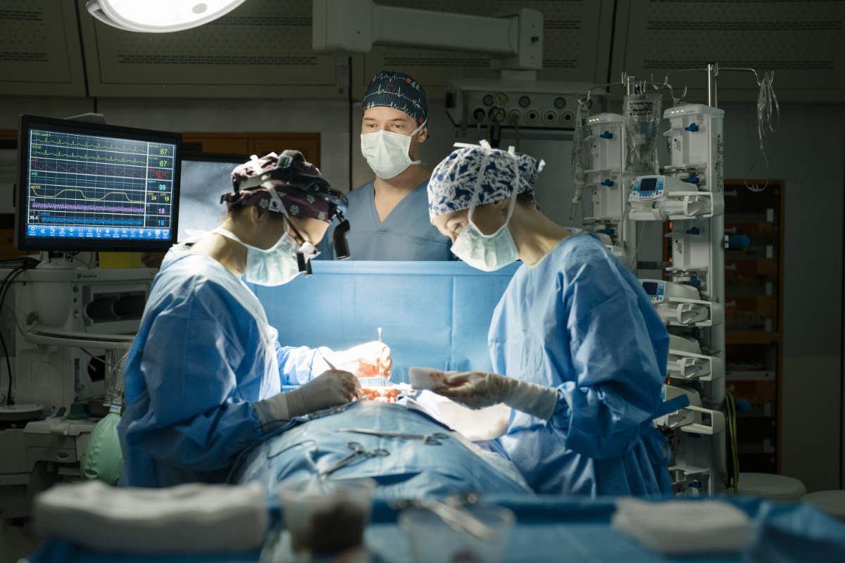 The Couple Next Door