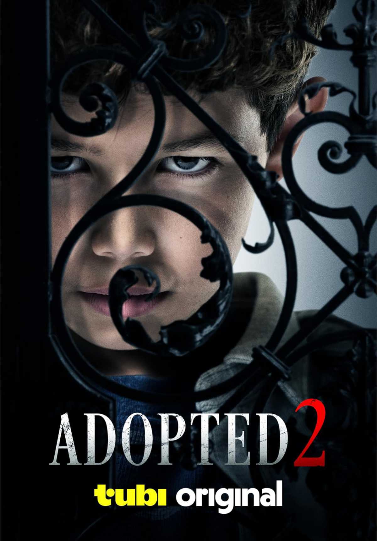 Adopted 2