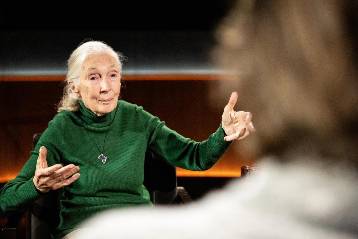 Jane Goodall photo courtesy of Netflix