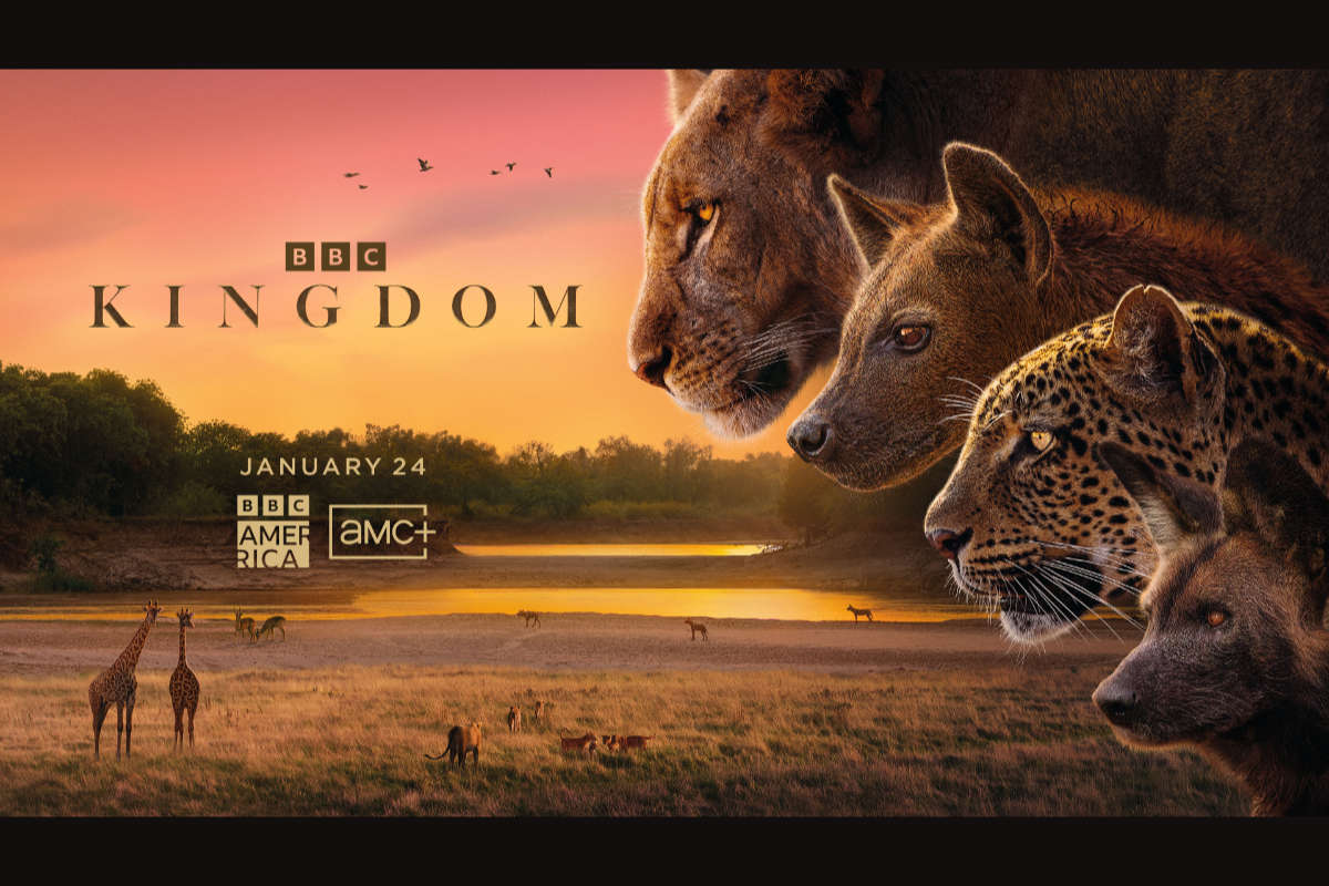 Kingdom Trailer and Key Art From BBC America and AMC+
