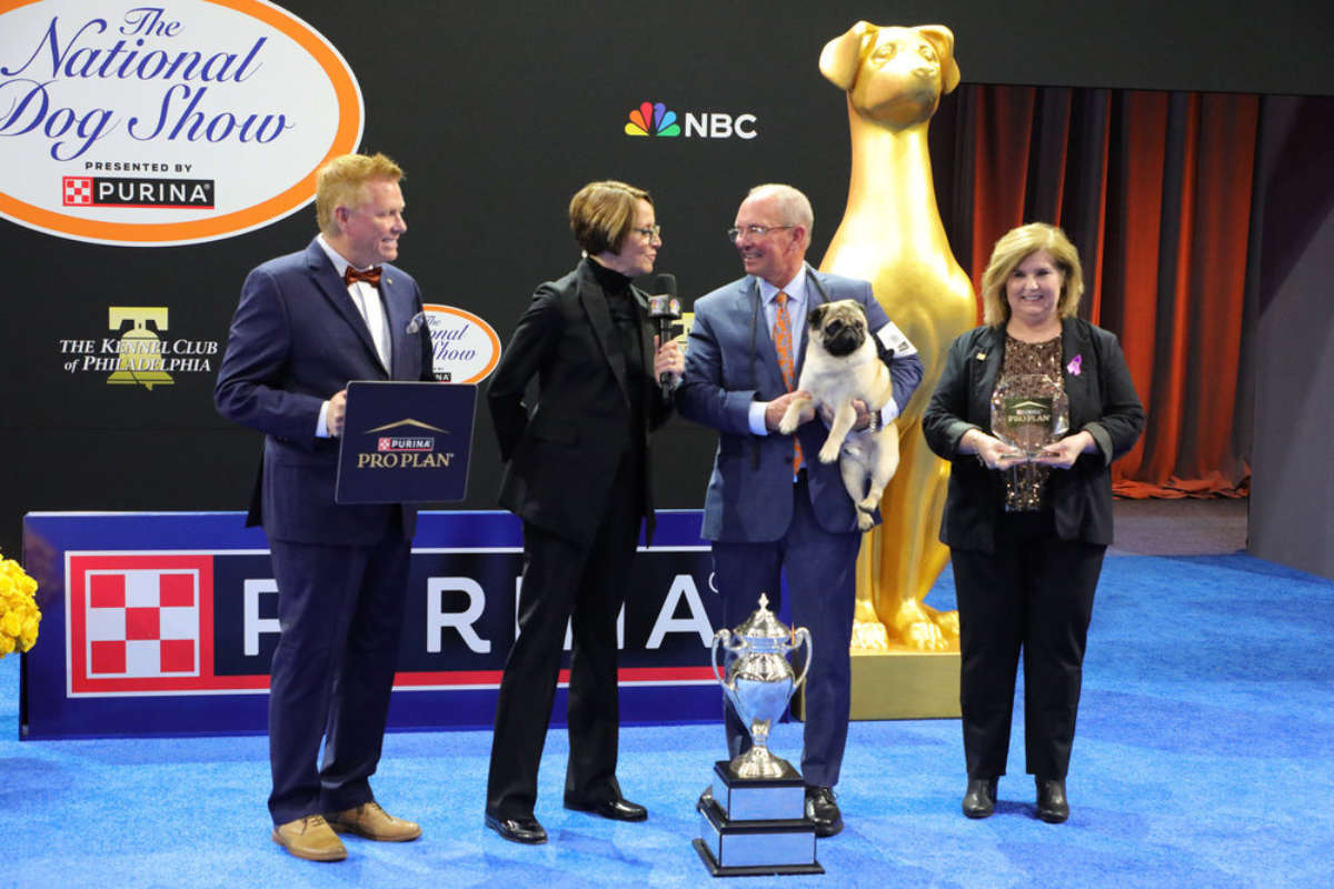 The National Dog Show