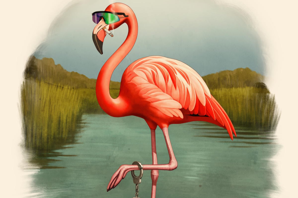 It's Florida, Man. Season 2 First Look