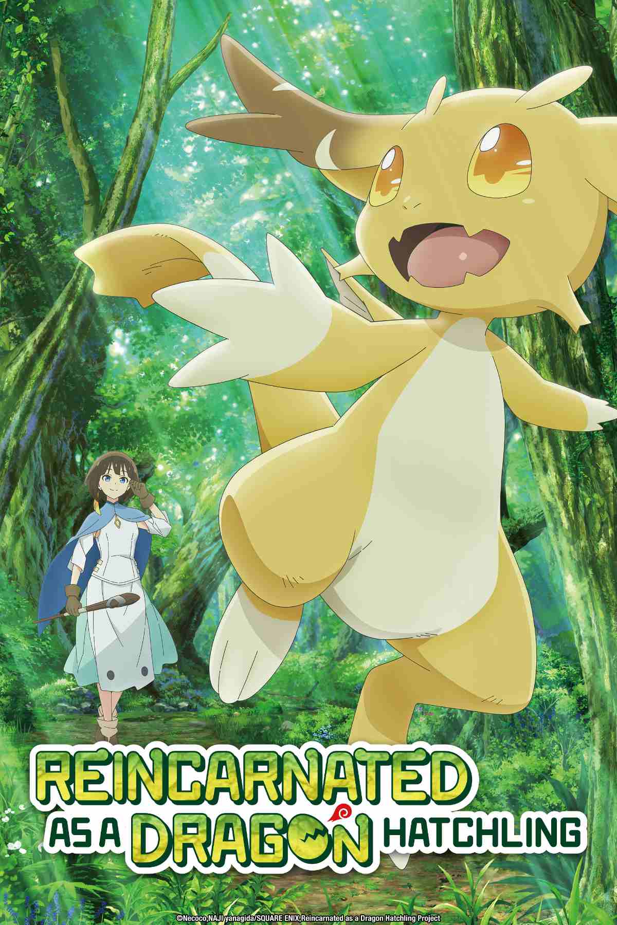 Reincarnated as a Dragon Hatchling