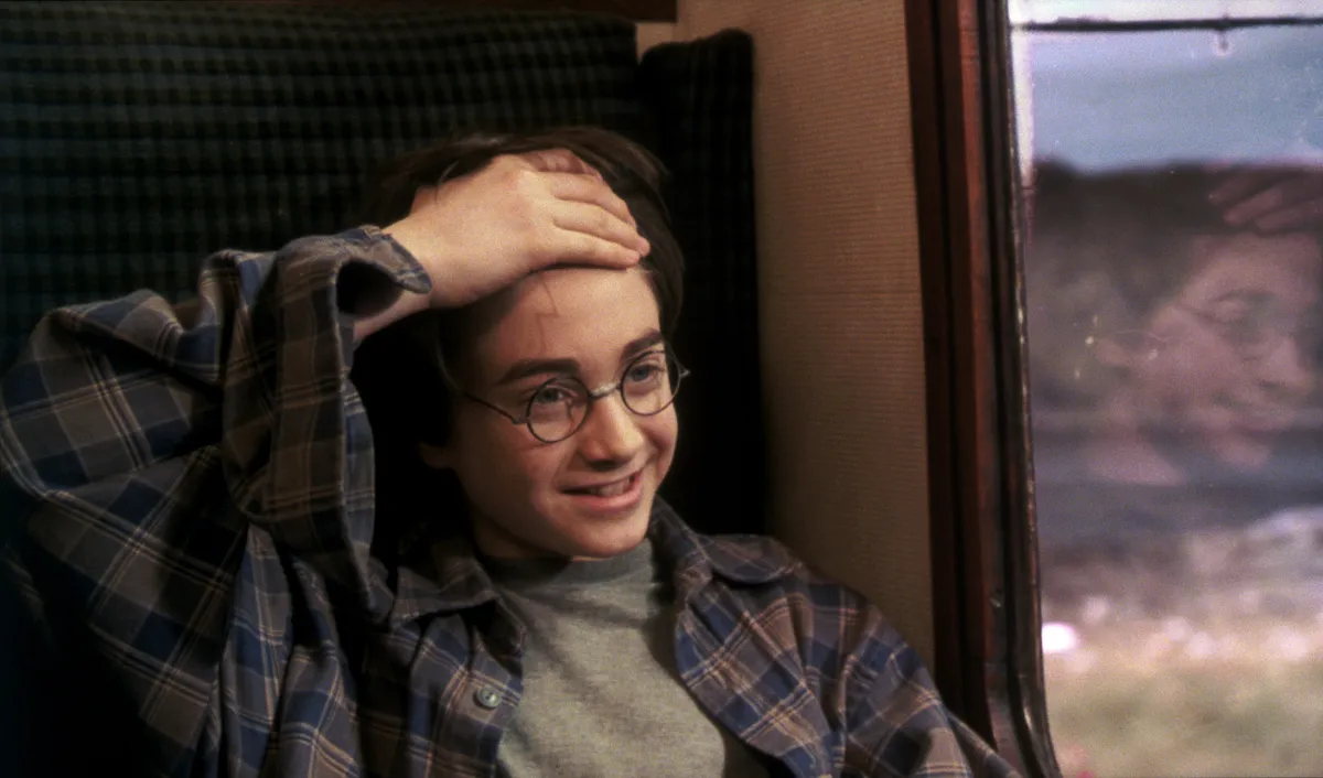 Daniel Radcliffe as Harry Potter