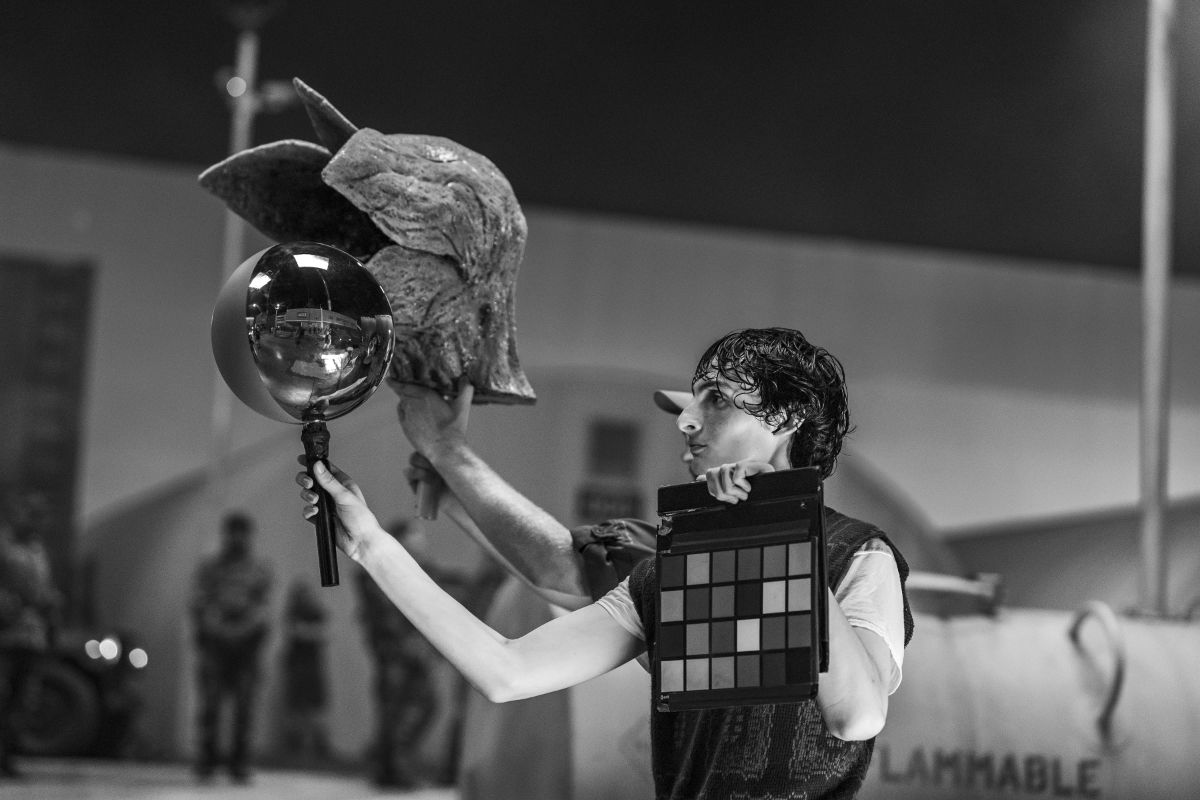 Finn Wolfhard as Mike Wheeler