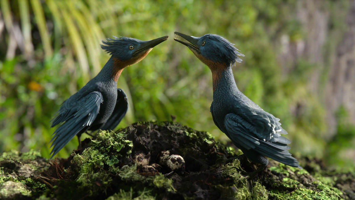 Birds in a new documentary series from Steven Spielberg and Amblin Entertainment
