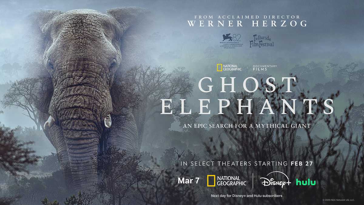 Disney+ and Hulu March 2026 - Ghost Elephants