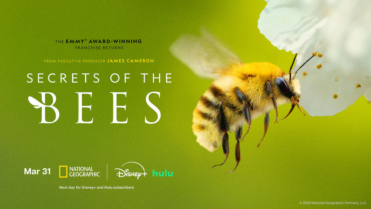 Disney+ and Hulu April 2026 - Secrets of the Bees