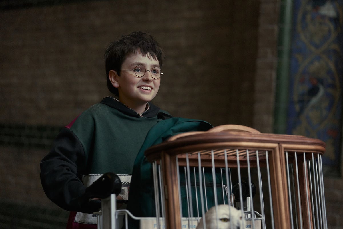 Dominic McLaughlin as Harry Potter
