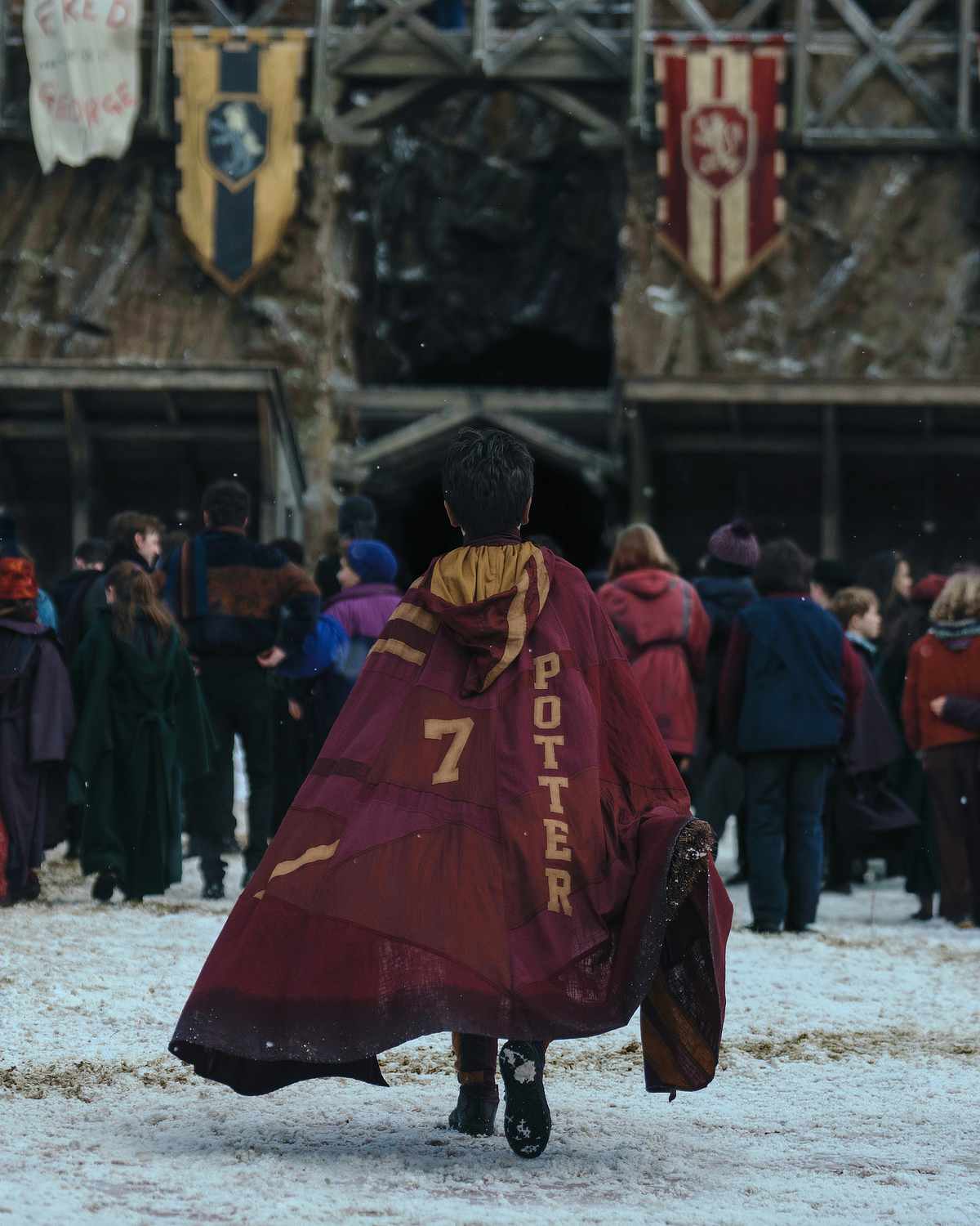 Dominic McLaughlin as Harry Potter