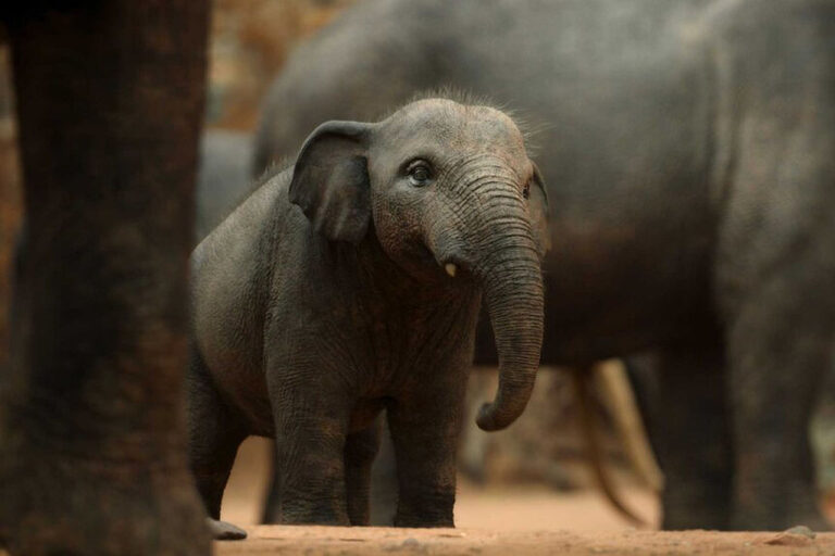 NBC Summer 2026 Schedule Brings Unscripted Series and More - Surviving Earth