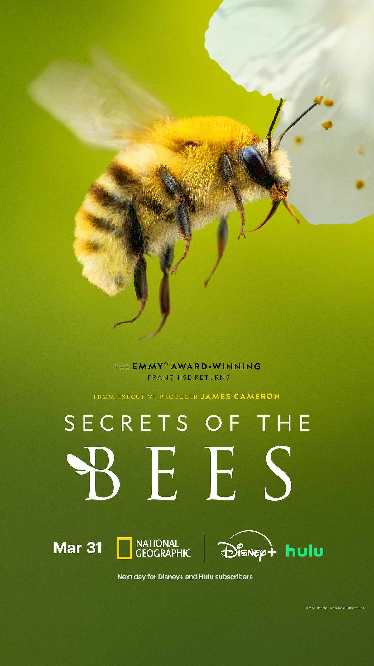 Secrets of the Bees key art