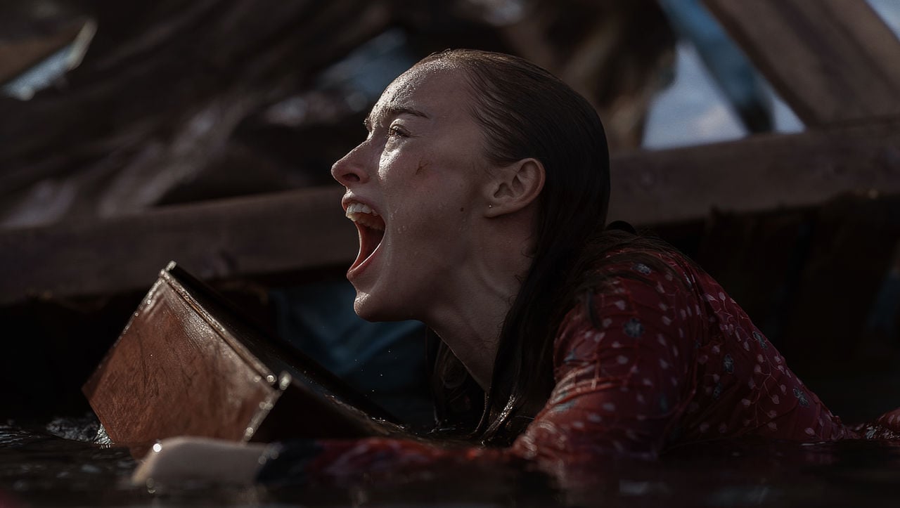 Thrash Surfaces Sharks After a Category 5 Hurricane