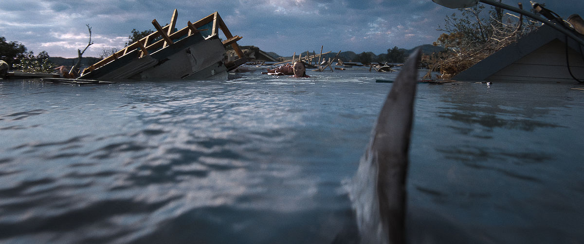 Phoebe Dynevor and a shark