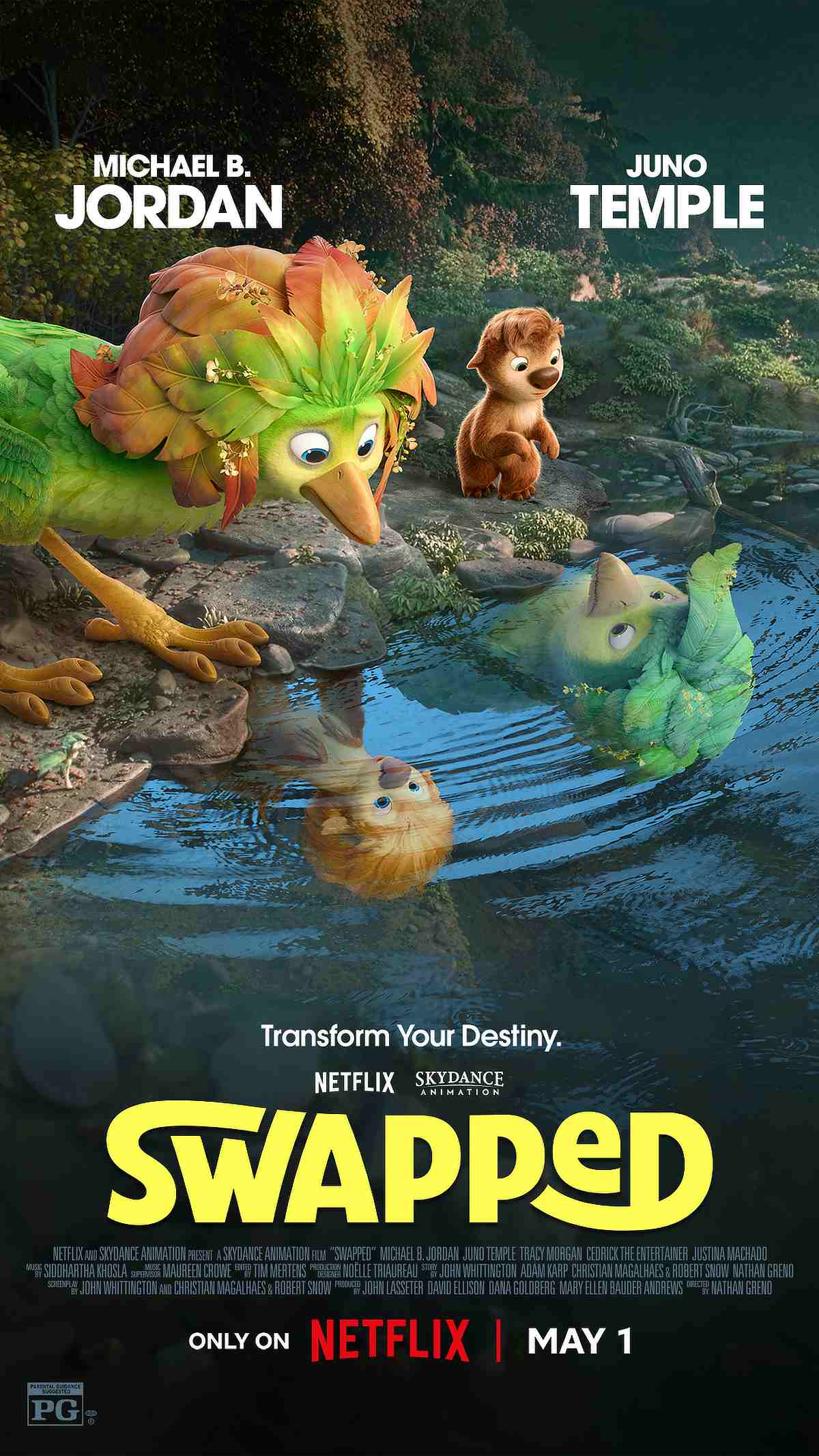Swapped poster