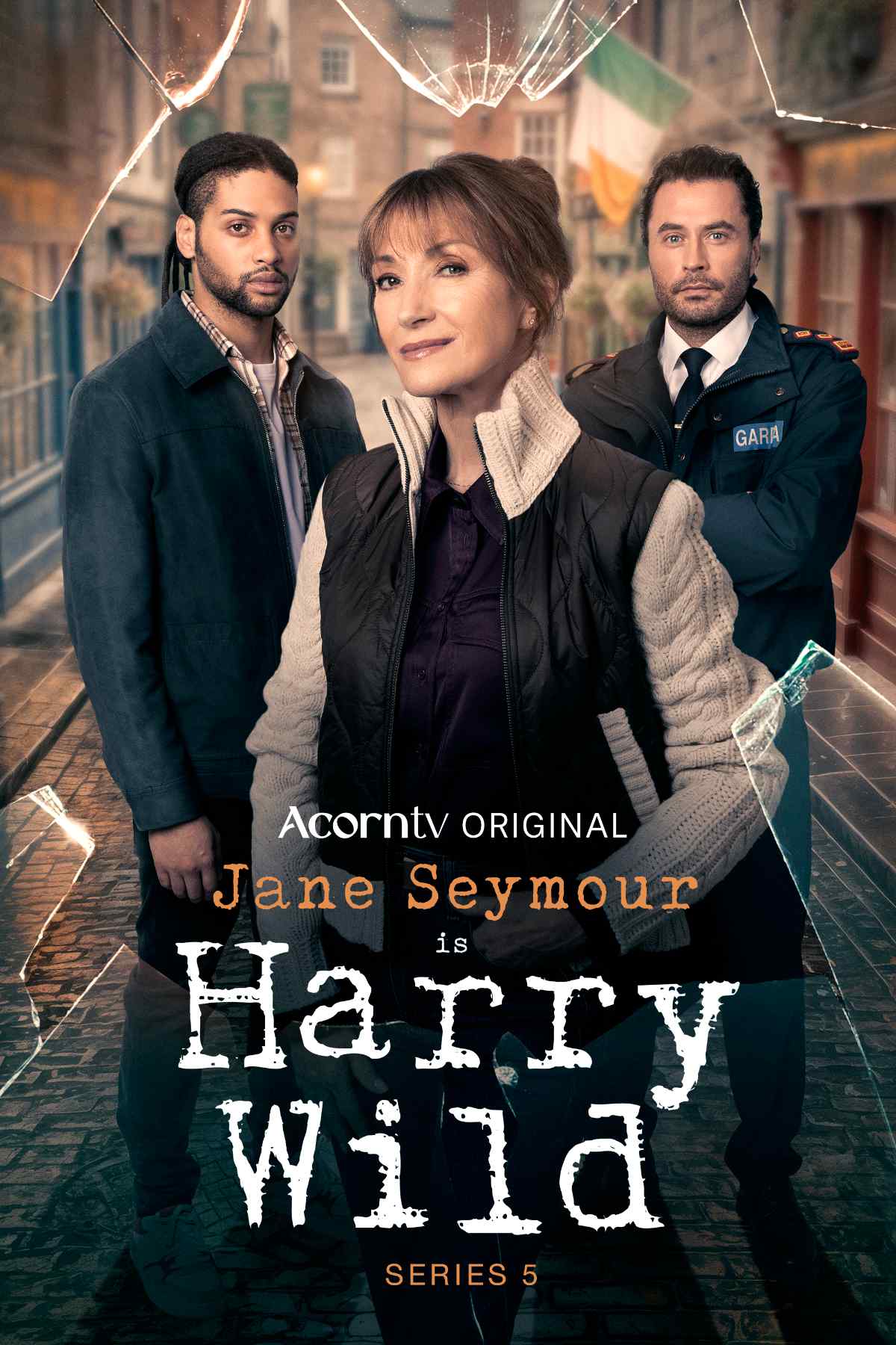 Harry Wild Season 5 key art
