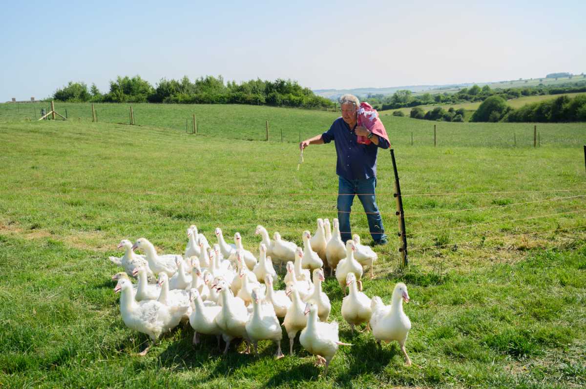 Clarkson's Farm