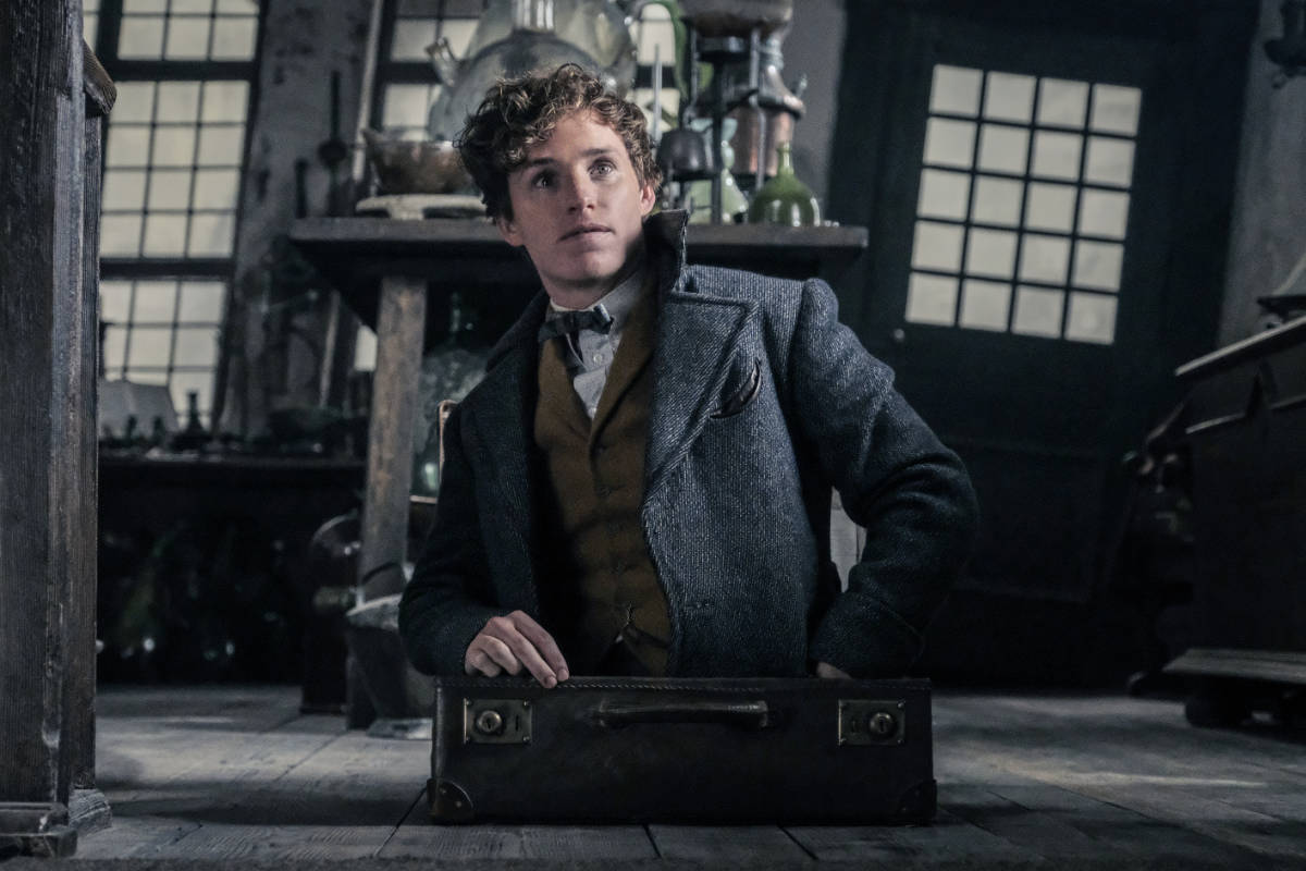 Eddie Redmayne as Newt Scamander