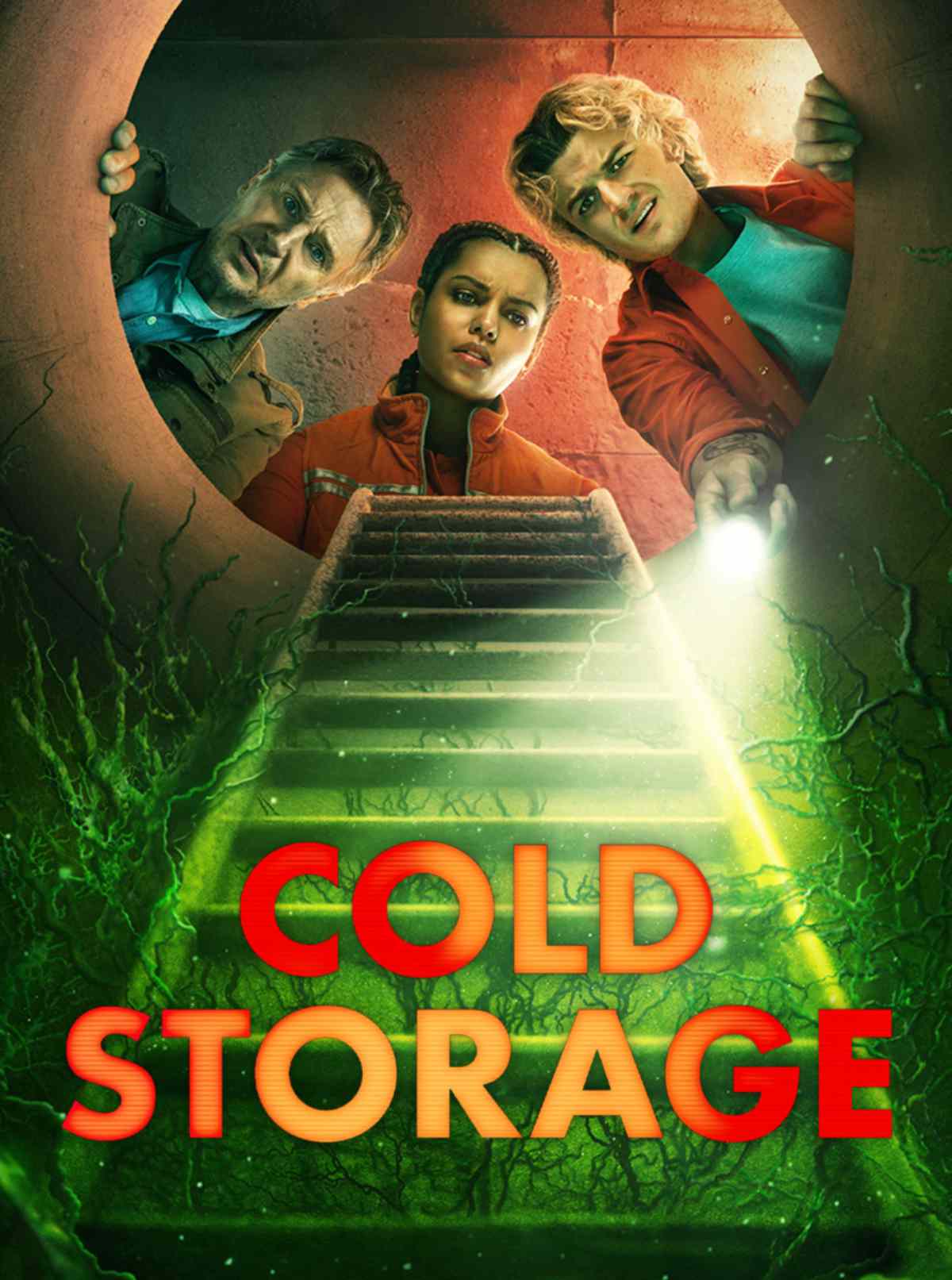 Cold Storage poster