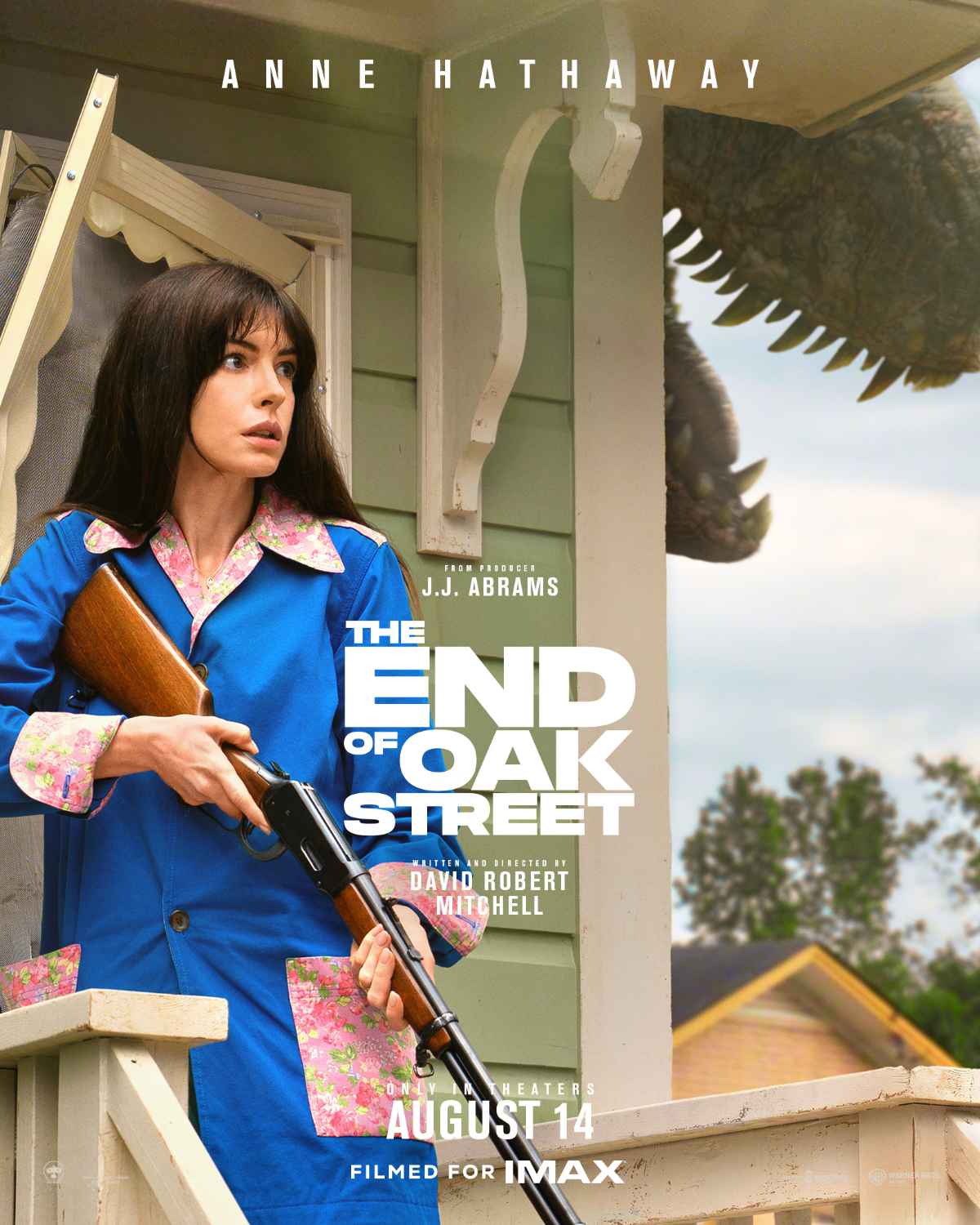 Anne Hathaway as Denise Platt