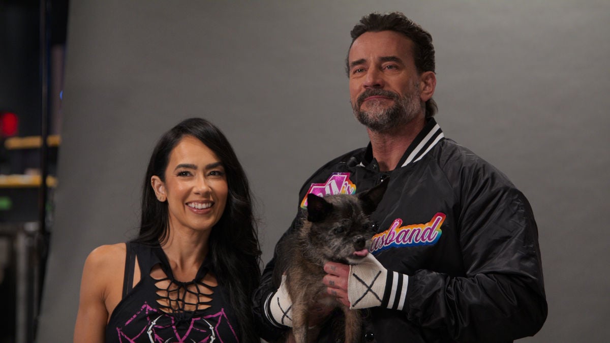 AJ Lee and CM Punk in WWE: Unreal Season 3