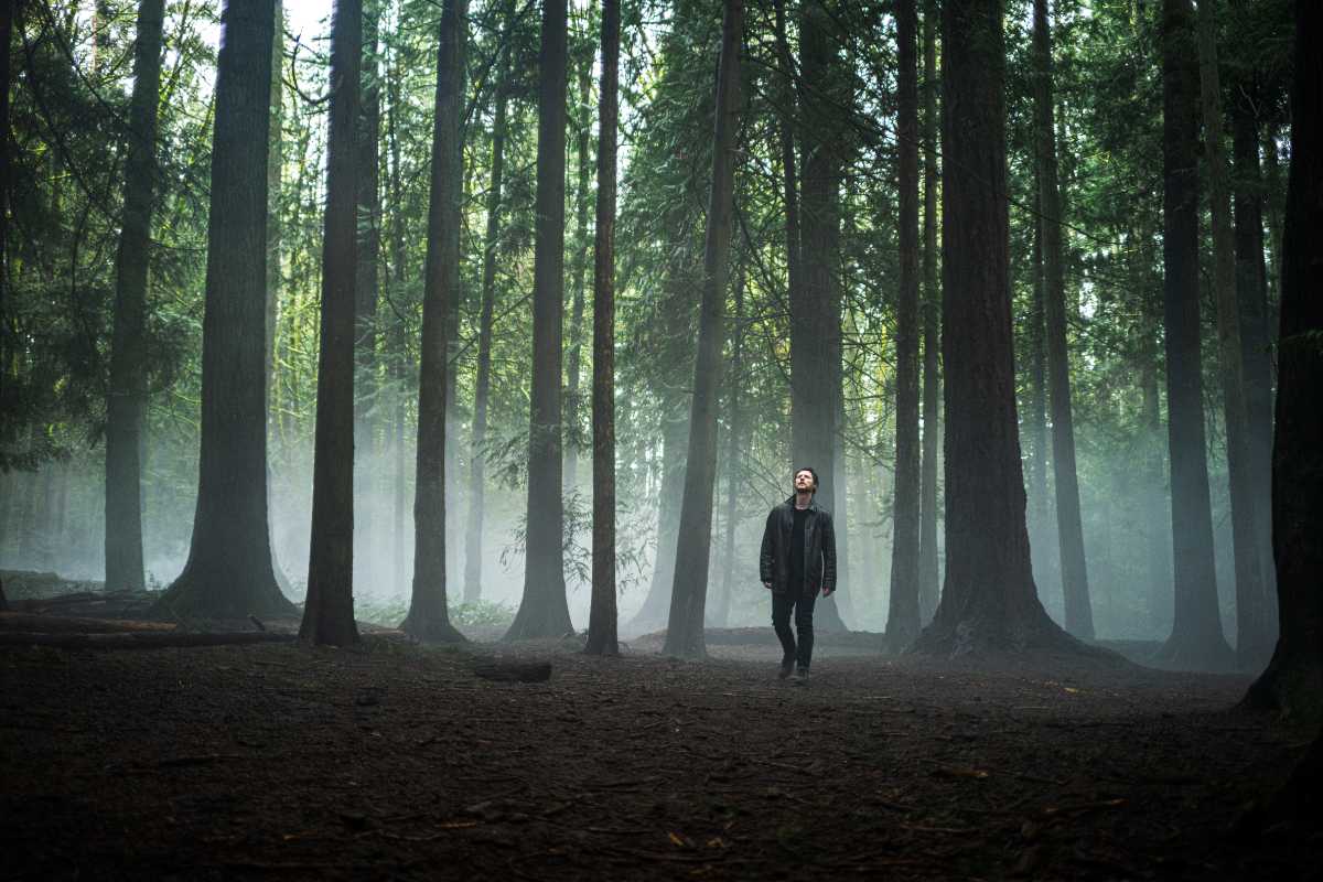 Noah Reid in a forest