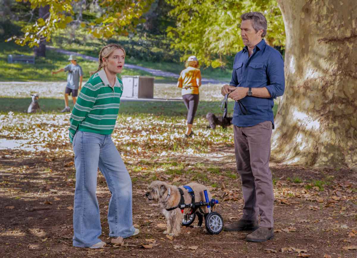 Harriet Dyer as Ashley, and Patrick Brammall as Gordon